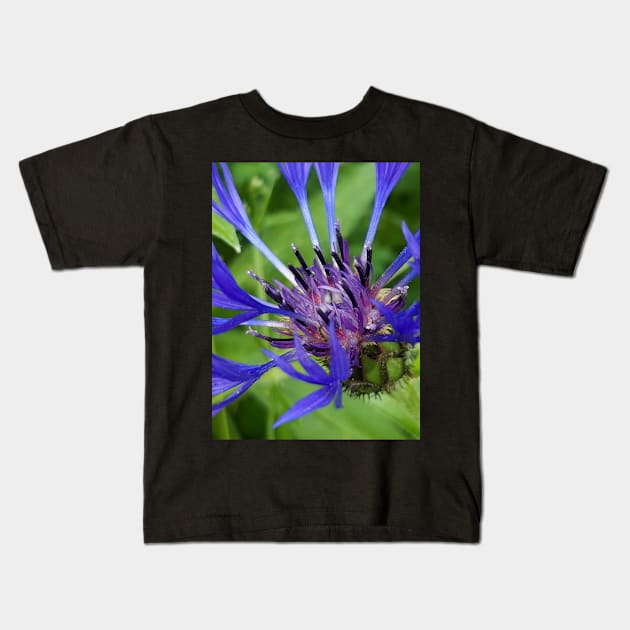 Centaurea Kids T-Shirt by Celtic Morrigan